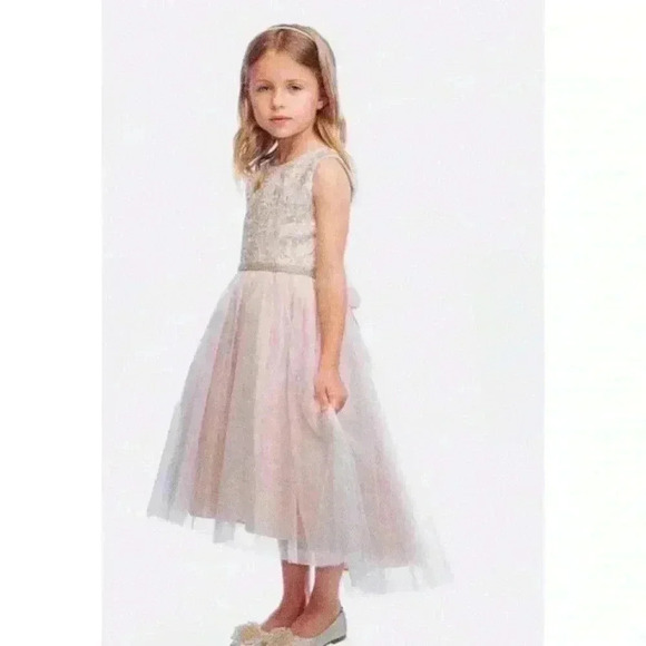 Girls Pink Blush Gold Embroidered Applique Rhinestones Bodice Tulle Dress 10 - Picture 1 of 16